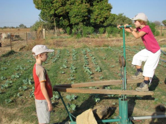 02 Pompe A Pieds Dans Un Jardin Maraicher